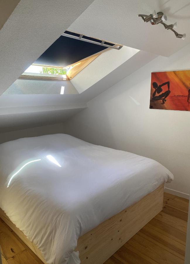 阿尔比T3 Duplex6 Hyper-Centre Climatise公寓 外观 照片